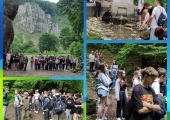collage_park